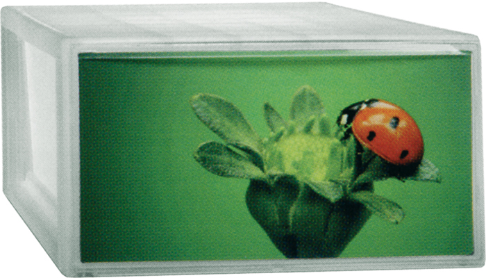 Contenitore Terry Photobox