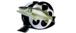 VIDEO PESCA SPORT